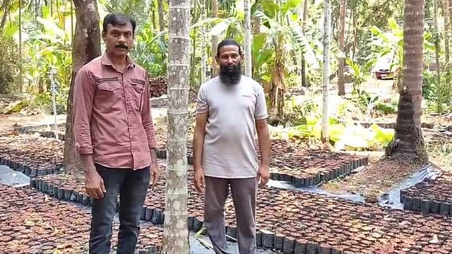 കണ്ണൂരില്‍ അടയ്ക്കാ വിപ്ലവവുമായി കൂട്ടുകാര്‍, ഒന്നരയേക്കര്‍ സ്ഥലത്ത് ഉല്‍പാദിപ്പിച്ചത് രണ്ടരലക്ഷം കമുകിന്‍ തൈകള്‍