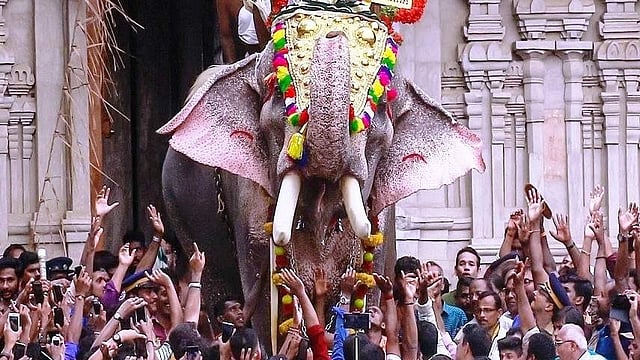 ഫിറ്റ്നെസ് ടെസ്റ്റ് പാസായി; തൃശൂര് പൂരത്തിന് തെച്ചിക്കോട്ടുകാവ് രാമചന്ദ്രനെത്തും