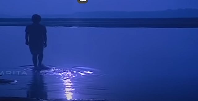 നീരാടുവാൻ നിളയിൽ