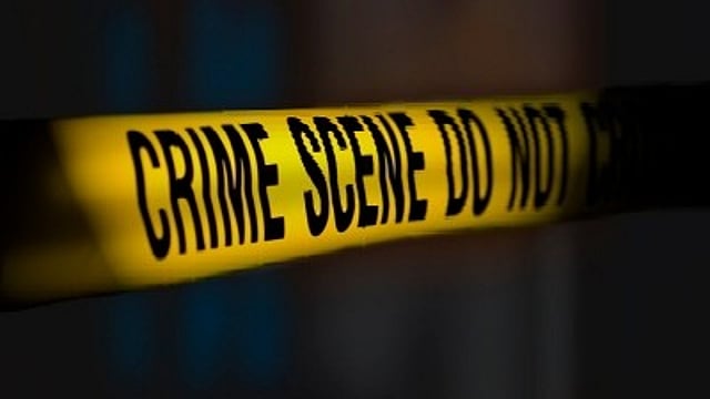 DOUBLE MURDER CASE