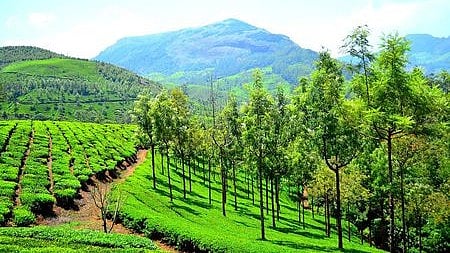 കുളിര് തേടി മൂന്നാര്‍ പോയിട്ടും കാര്യമില്ല, ചുട്ടുപൊള്ളി ഹില്‍ സ്റ്റേഷന്‍; റെക്കോര്‍ഡ് ചൂട് 