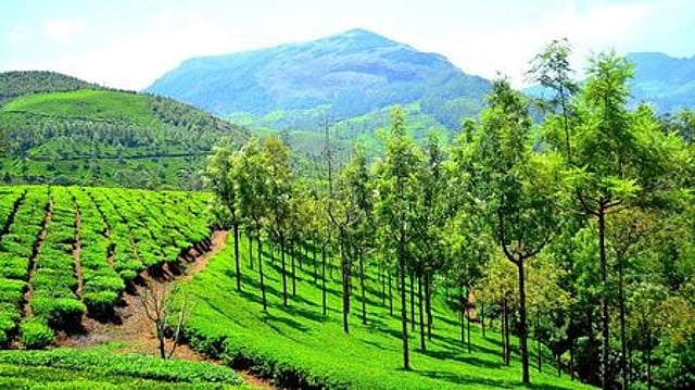 കുളിര് തേടി മൂന്നാര് പോയിട്ടും കാര്യമില്ല, ചുട്ടുപൊള്ളി ഹില് സ്റ്റേഷന്; റെക്കോര്ഡ് ചൂട്
