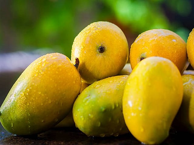 മാങ്ങ