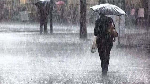 പെരുമഴ; എറണാകുളം, ഇടുക്കി, തൃശൂർ ജില്ലകളിൽ റെഡ് അലർട്ട്; ഇടിമിന്നലിനും കാറ്റിനും സാധ്യത