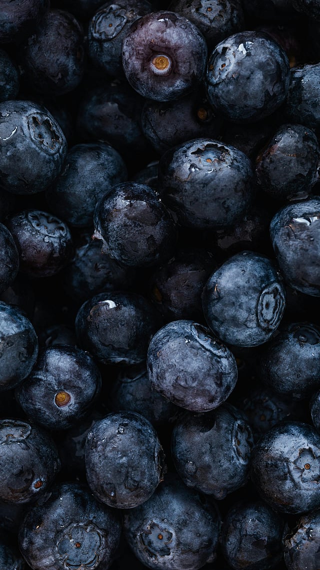 blueberry health benefits