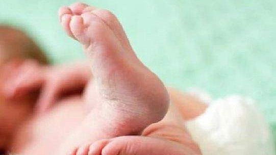 ആദിവാസി യുവതി കാട്ടില്‍ പ്രസവിച്ചു; ആശുപത്രിയില്‍ പോകാന്‍ കൂട്ടാക്കിയില്ല,  പരിചരണം ഉറപ്പാക്കി ആരോഗ്യ പ്രവര്‍ത്തകര്‍
