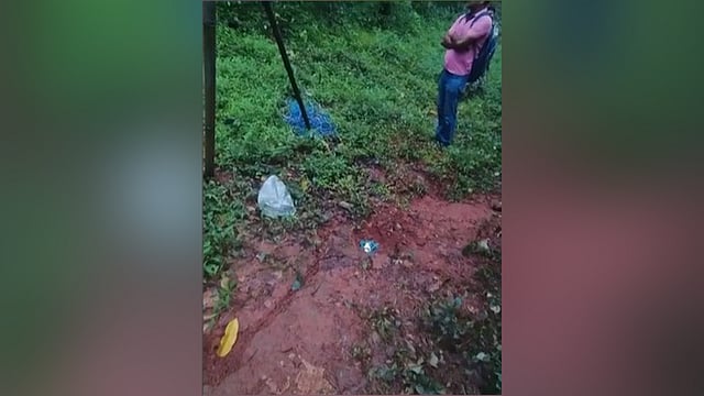 വയനാട് മക്കിമലയിൽ കുഴിബോംബ് കണ്ടെത്തി; തണ്ടർബോൾട്ട് നിർവീര്യമാക്കി