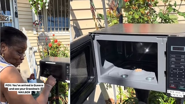 microwave viral video