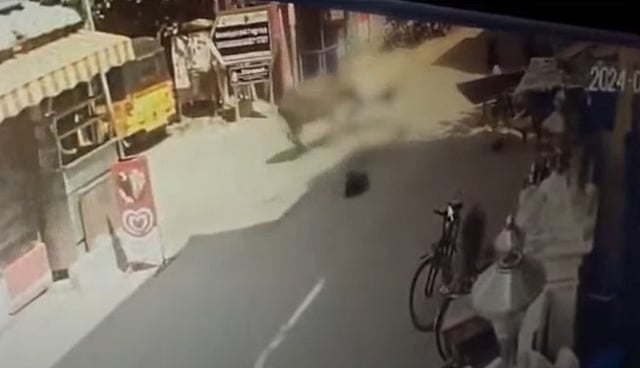 നടുറോഡില്‍ യുവതിയെ എരുമ കൊമ്പില്‍ ചുഴറ്റിയെറിഞ്ഞു; അടിയന്തര ശസ്ത്രക്രിയ; വിഡീയോ ഭയാനകം 