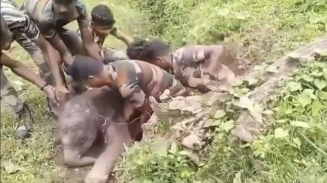 അമ്മയ്‌ക്കൊപ്പം നടക്കുന്നതിനിടെ നീർച്ചാലിൽ വീണു; കുട്ടിയാനയെ പുറത്തെടുത്ത് രക്ഷാസേന, വൈറൽ വിഡിയോ