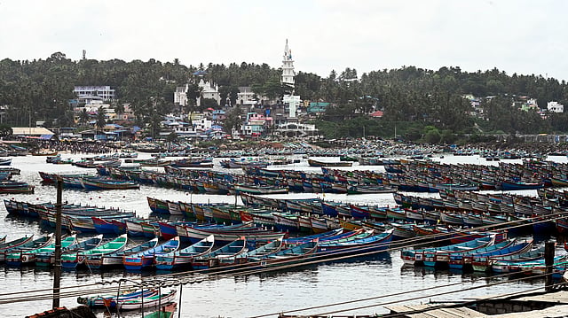 ട്രോളിങ് നിരോധനത്തെ തുടർന്നു വിഴിഞ്ഞത്ത് നിർത്തിയിട്ട മത്സ്യബന്ധന ബോട്ടുകൾ
