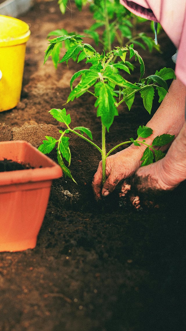 used oil for composting