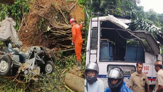 നേര്യമംഗലത്ത് കാറിനും ബസിനും മുകളിലേക്ക് മരം കടപുഴകി വീണു; ഒരാള്‍ മരിച്ചു; നിരവധി പേര്‍ക്ക് പരിക്ക്