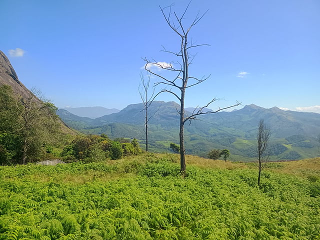 ഇരവികുളം നാഷണല് പാര്ക്ക്