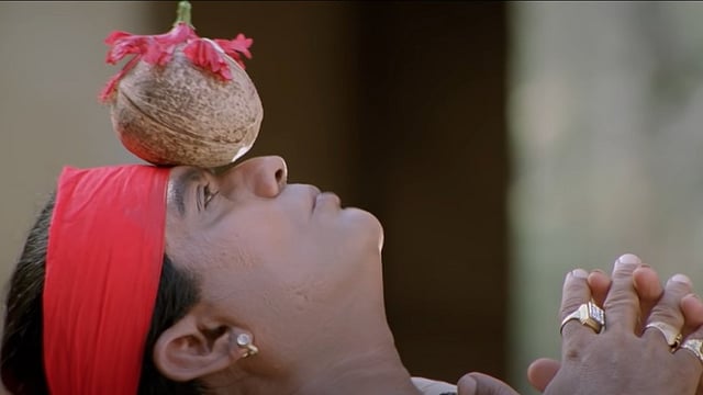കിളിച്ചുണ്ടൻ മാമ്പഴം