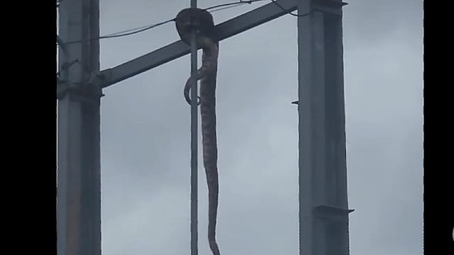 PYTHON