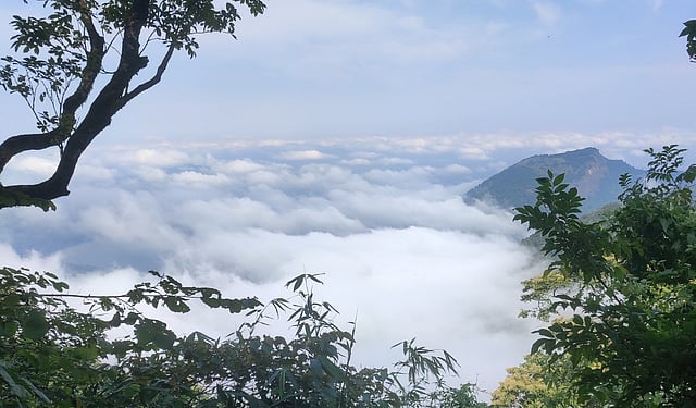 നെല്ലിയാമ്പതിയില് രാത്രി യാത്രാ നിരോധനം; കനത്ത ജാഗ്രത