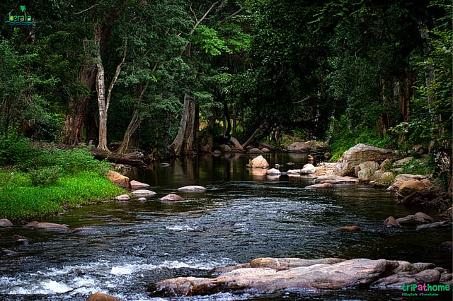 ചിന്നാര് വന്യജീവി സങ്കേതം