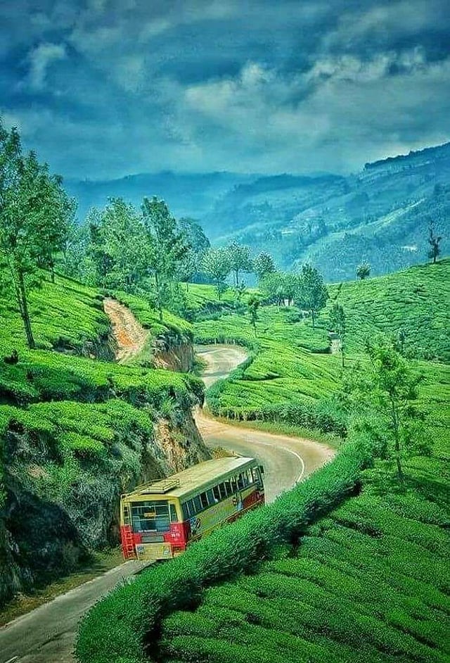 മൂന്നാര്- തേക്കടി റോഡ്