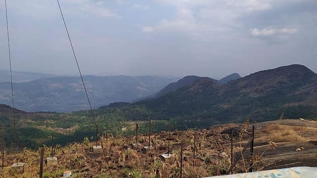 ഇലവീഴാപൂഞ്ചിറ, ഇല്ലിക്കൽ കല്ല് ടൂറിസം കേന്ദ്രങ്ങളിലേക്ക് പ്രവേശനമില്ല; മലയോര മേഖലകളിൽ രാത്രിയാത്രാ നിരോധനം