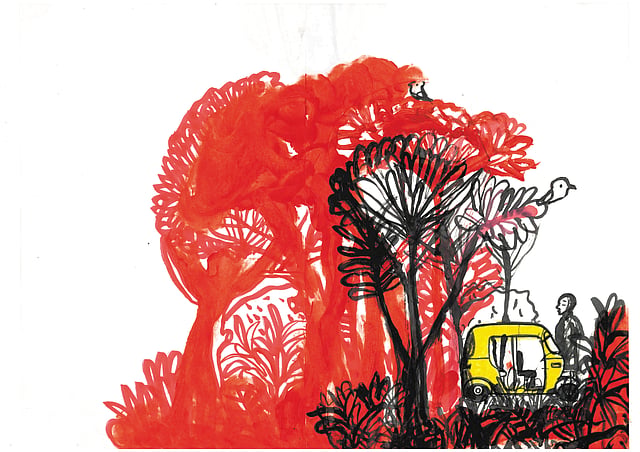 Story image