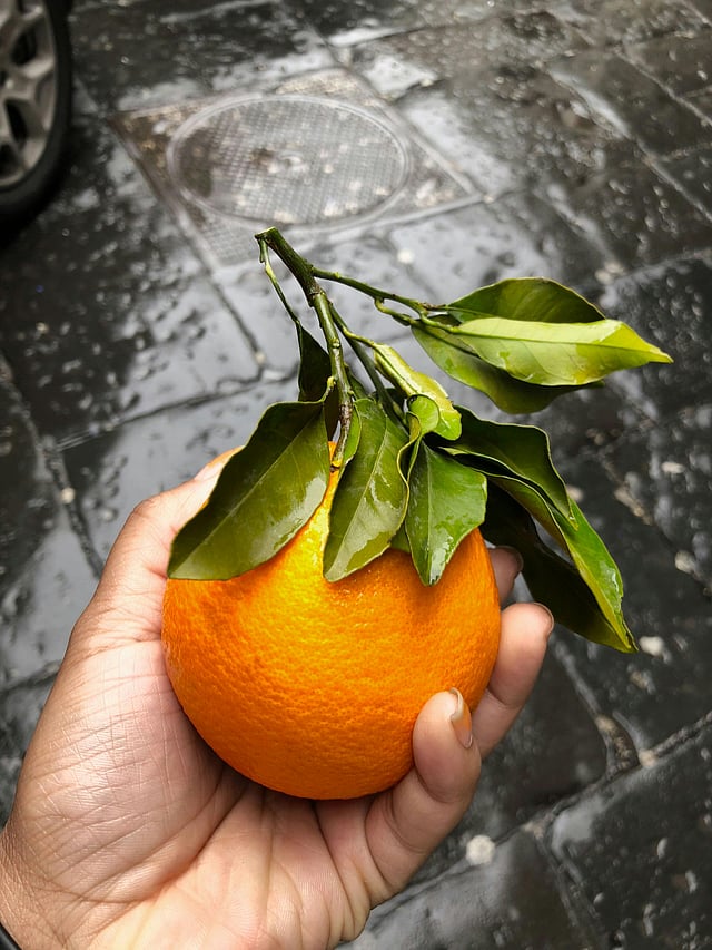 orange