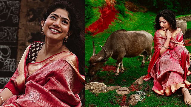 'ഒരു വര്‍ഷം മുന്‍പ് എടുത്ത ചിത്രങ്ങൾ, പക്ഷേ...'; കുറിപ്പുമായി സായ് പല്ലവി