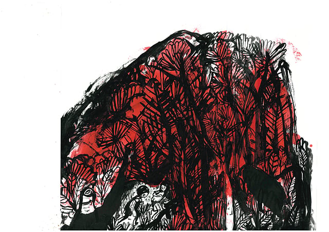 Story image