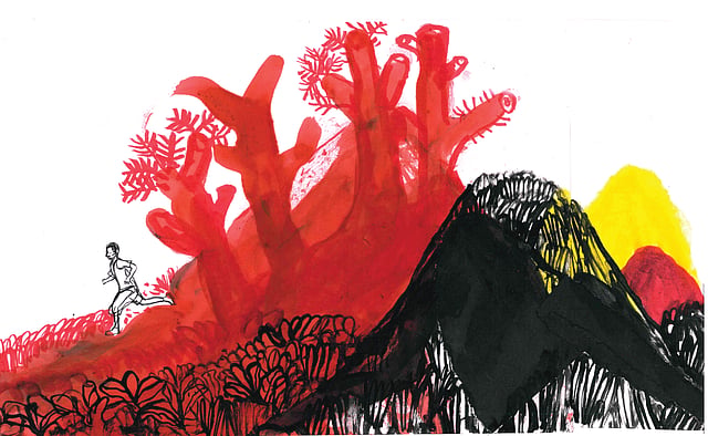 Story image