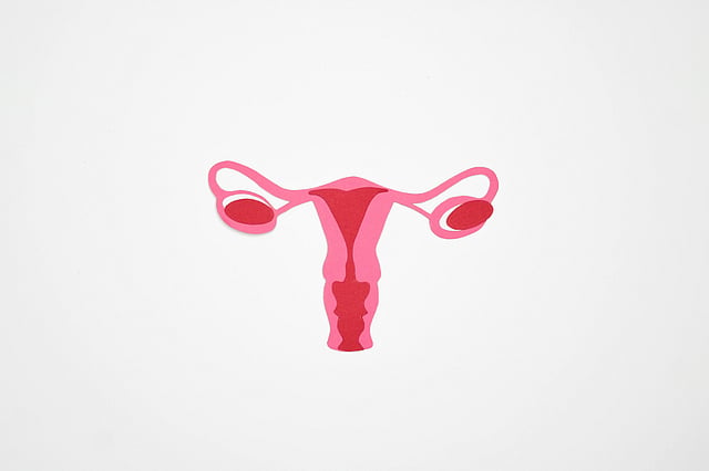 Ovarian cancers