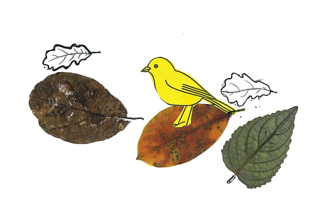 Story image
