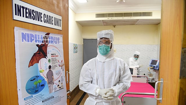 nipah virus
