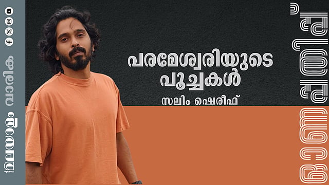 സലീം ഷെരീഫ് എഴുതിയ കഥ: പരമേശ്വരിയുടെ പൂച്ചകൾ