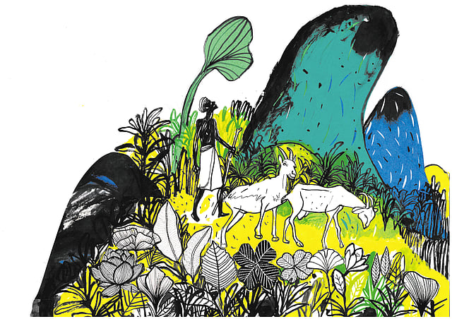 Story image