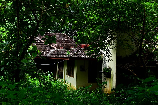കുമ്പനാട്ടെ ആള്ത്താമസമില്ലാത്ത വീട്