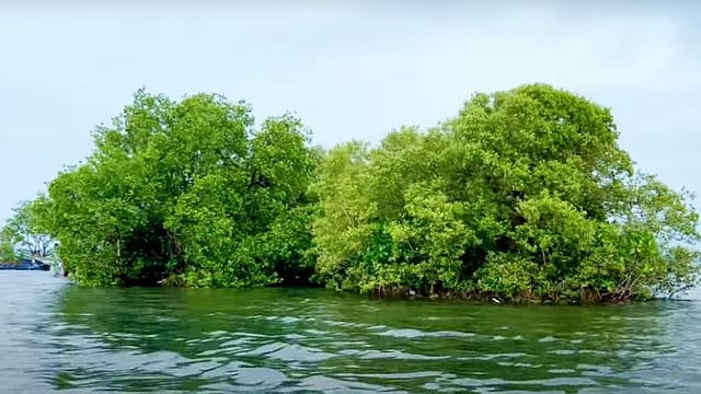SAMBRANIKODI