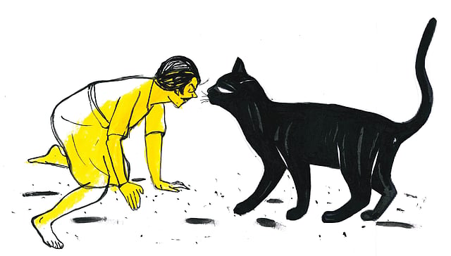 Story image