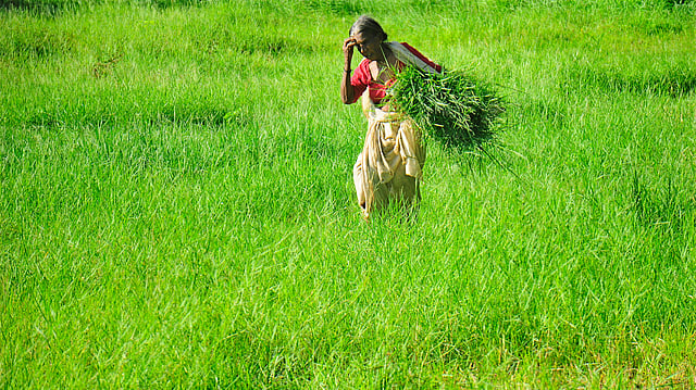 Story image