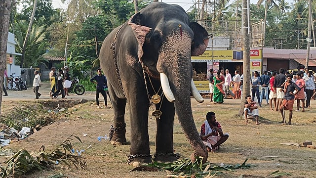 പ്രതീകാത്മക ചിത്രം