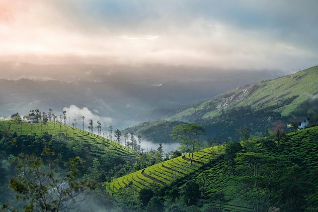 മൂന്നാര്