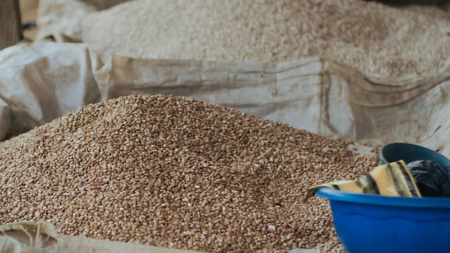 millet