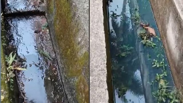 Diesel leak in Elathur; Diesel flows into drain, protests