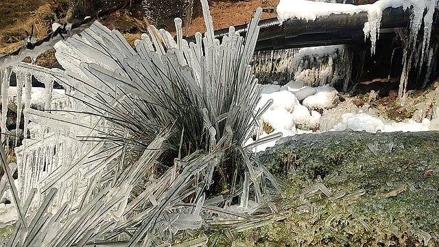 ബാരാമുള്ളയിലെ താങ്മാര്ഗില് പുല്ലില് മഞ്ഞുകട്ട പിടിച്ച കാഴ്ച