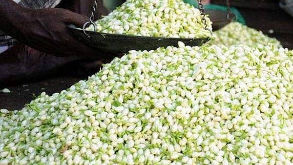 മുല്ലപ്പൂവ് വിറ്റതില്‍ തര്‍ക്കം; നെടുമങ്ങാട് പൂക്കച്ചവടക്കാരന് കുത്തേറ്റു, പ്രതി കസ്റ്റഡിയില്‍