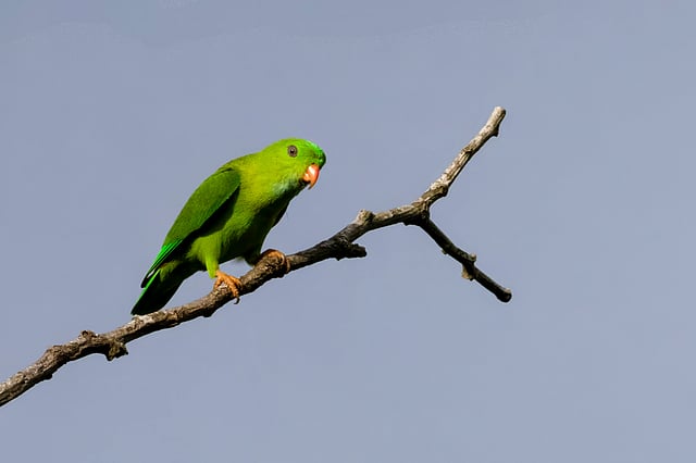 Story image