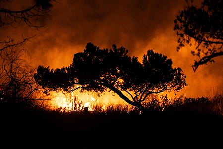 The Auto Fire spreads following the riverbed of the Santa Clara River in Oxnard, North West of Los Angeles, California, on January 13, 2025.