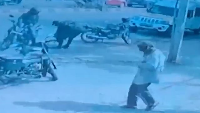 Armed robbers kill two security guards, loot Rs 93 lakh cash meant for ATM