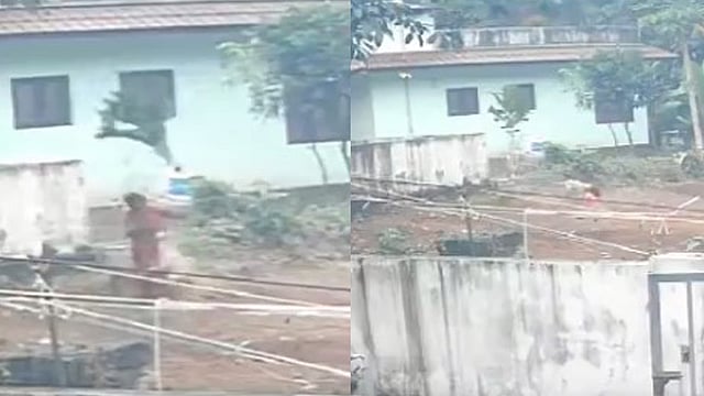 Stray dog attack