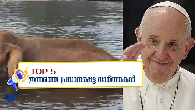 athirappilly injured elephant update