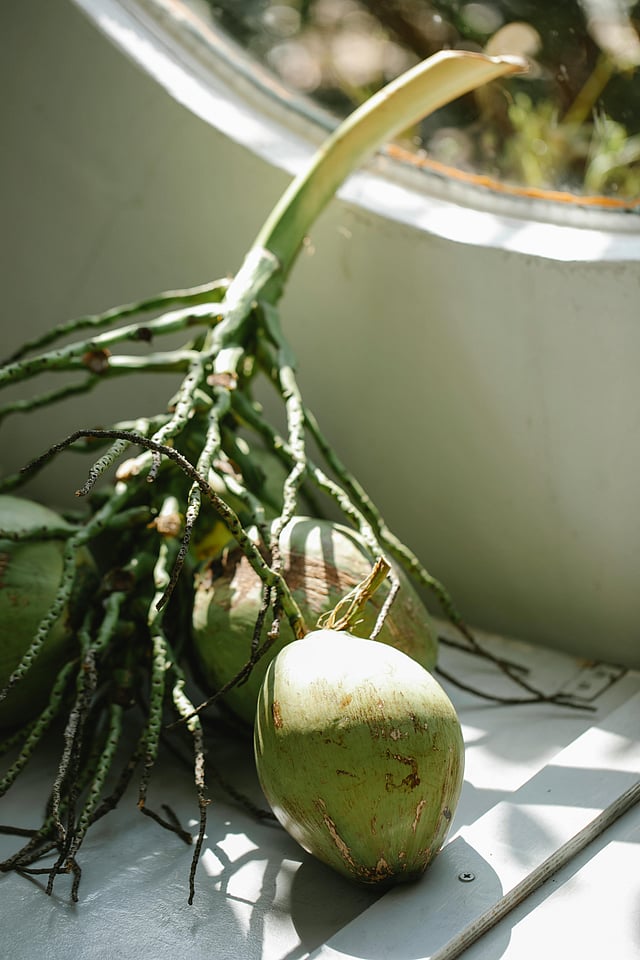 7 benefits of drinking coconut water every day